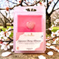 Japanese Cherry Blossom Wax Melts